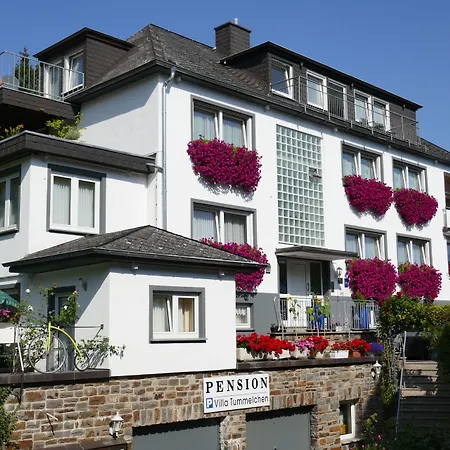 בית הארחה Tummelchen