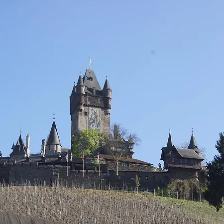 Tummelchen בית הארחה קוכם