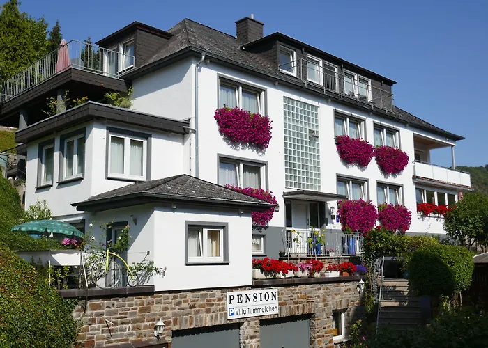 Гостевой дом Tummelchen