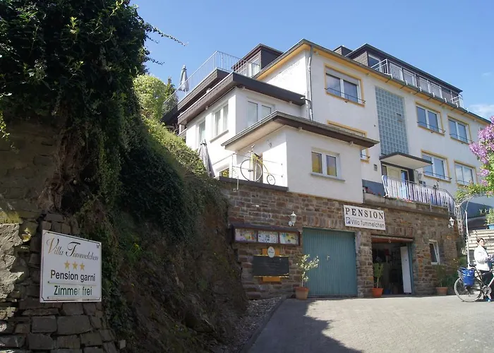 招待所 特门欧辰威勒旅馆 3*